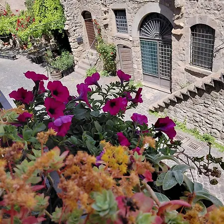 Couette-café Antica - Centro Storico 4*